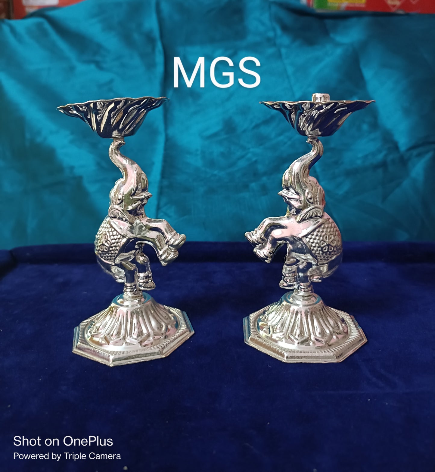 Trendy Elephant Diyas