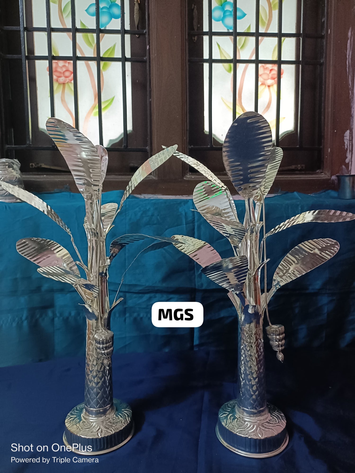 Banana Trees
