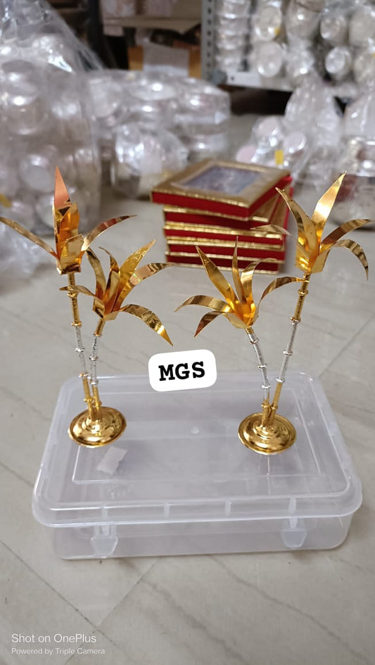Set of 2 Sugarcane Trees- 6inch